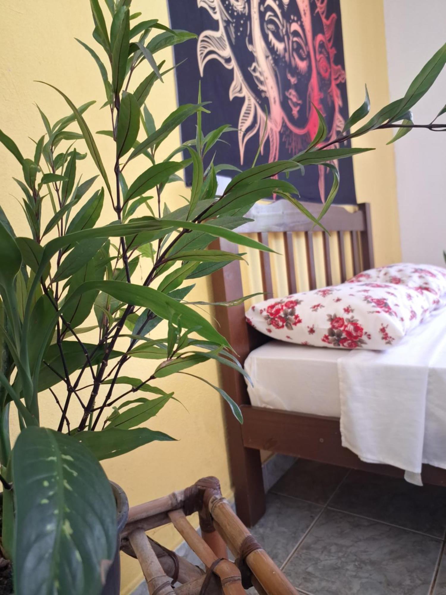 Renovo Beija-Flor Hostel E Espaco Terapeutico Бертиога Екстериор снимка